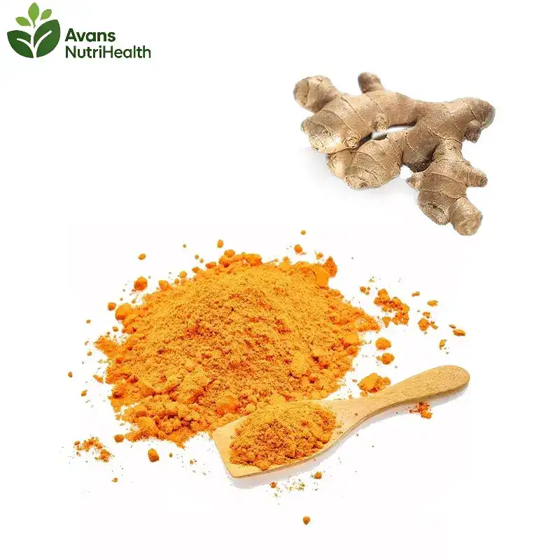 Curcumin Extract Powder